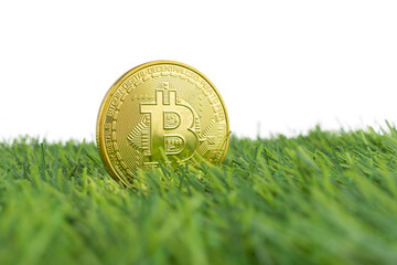 A golden Bitcoin coin stands upright in a field of vibrant green artificial grass, set against a clean, white background.
