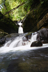 Rainforest cascade above La Mina Falls in Puerto Rico