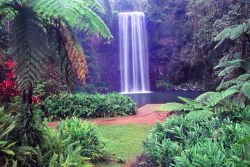 Millaa Millaa Falls in Queensland Australia