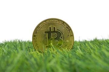 A golden Bitcoin coin stands upright in a field of vibrant green artificial grass, set against a clean, white background.