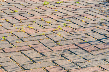 Close-up view of weathered gray bricks in a Central European village, forming organized structure...