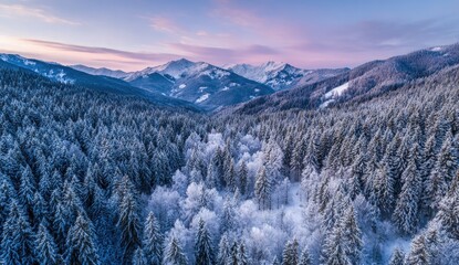 Aerial view of a snow-covered mountain forest at dawn. A vibrant sunrise paints the sky with soft pinks and purples, casting a warm glow over the majestic peaks and valleys.