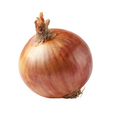 Single onion, round, light brown with streaks of tan and pink, whole,  isolated on black background