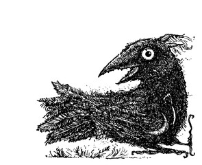 Detailed black and white ink drawing of a strange, eerie crow-like bird with exaggerated features and textured feathers. Dark, surreal, and gothic illustration style.