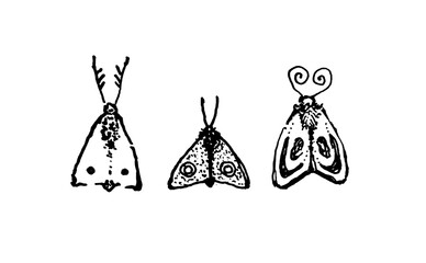 Black and white ink drawing of three stylized moths with unique patterns and shapes. Minimalist hand-drawn insect illustration for nature and vintage designs.