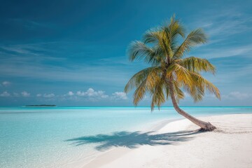 Fototapeta premium Pristine beach with lone palm tree under vibrant sky