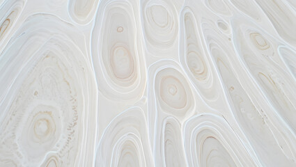 Obraz premium Close up of a light colored rock formation with circular patterns and smooth texture