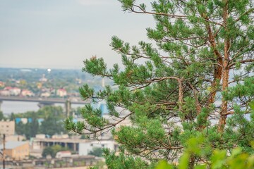 Panoramic view of a lake with city and rural landscapes, coniferous trees in foreground, overcast...