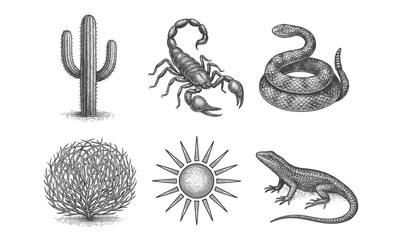 Fototapeta premium Hand drawn desert wildlife with cactus, sun, and reptiles