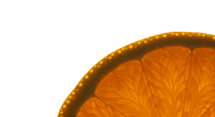 Backlit Orange Slice Macro on a Gray Background