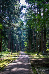 Fototapeta premium 平泉寺白山神社