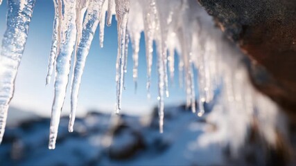 icicles on the roof. Close up of suspended single icicle melting in UK winter with water droplets dripping as ice melts in rising temperatures. Neutral out of focus background, shallow depth of field. - Powered by Adobe