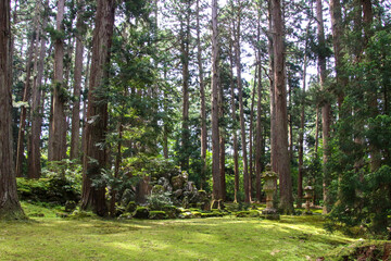 Obraz premium 平泉寺白山神社