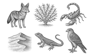 Detailed vintage desert wildlife compilation featuring animals, plants, and landscapes