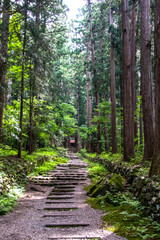 Obraz premium 平泉寺白山神社