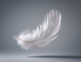 A single, white feather floats gently in mid-air against a muted gray backdrop.  Its delicate structure and soft texture are highlighted by the light