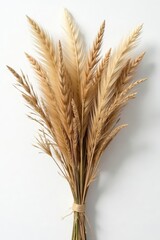 Fototapeta premium Dried herbs bouquet with feather, white backdrop, natural, still life, vintage