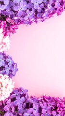 Lilac flowers in a frame on a pastel pink background