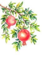 Pomegranate branch in vibrant watercolor