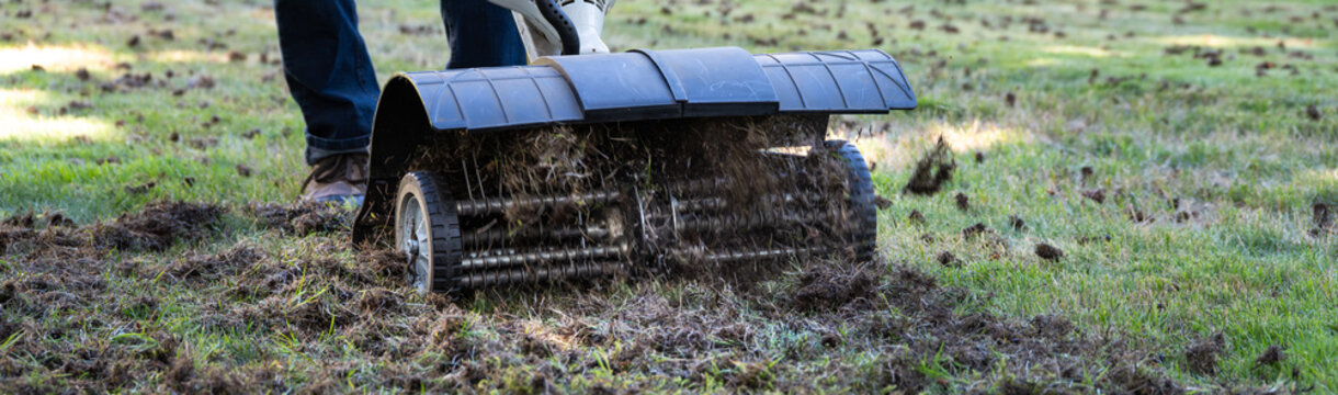 Closeup of dethatching machine tossing up pieces of dead lawn thatch and moss, grass lawn care and maintenance
