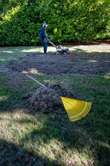Pile of thatch and moss raked up on grass lawn, ready to remove, rake with wood handle and yellow...