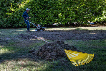 Pile of thatch and moss raked up on grass lawn, ready to remove, rake with wood handle and yellow...