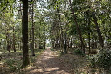 Naturschutzgebiet Buurserzand, Niederlande