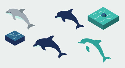 Obraz premium Isometric dolphins and pool set with modern minimalist design
