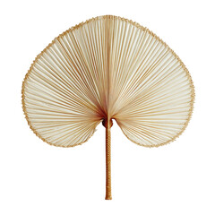 Dried fan palm leaf, pale beige, radiating ribs, central stem