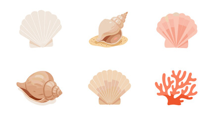 Fototapeta premium Assorted seashells and coral set on white background