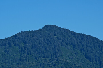 Obraz premium Mountains in the blue sky. Mountain landscape with green forest and clear blue sky in summer.