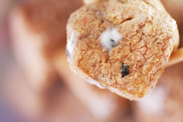 Growth of fungi or mycelium on dried tofu stored in the fridge more than a week