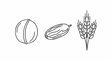 Fototapeta premium National date nut bread day september 8 outline drawing of walnut date and wheat grain vector illustration for healthy food and agriculture concept vector
