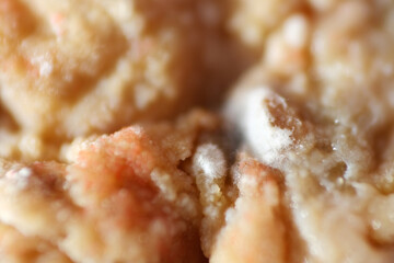 Growth of mycelium and fungus on dried tofu waste