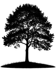 Silhouette of a tree