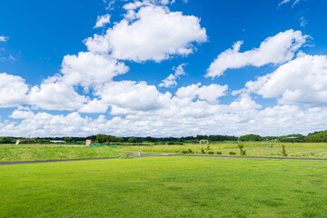 青空と白い雲が広がる都城市南部ふれあい広場の緑豊かな風景