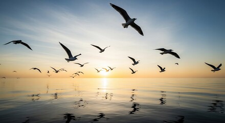 Seagulls flying over ocean at sunset stock photo for travel photography and nature backgrounds images