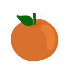 vector illustration of an orange fruit