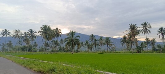 panoramic view of the mountains in autumn