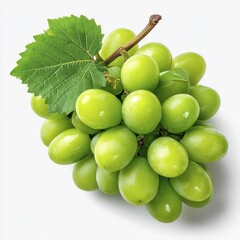 Single bunch of green grapes with a fresh leaf, on a pure white background Clean, simple, and high-quality stock photography - antioxidant sweet resolution