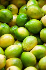 Fresh green lime lemon in the shelf at the store for sale, harvest season freshly picked from a farm