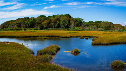 Autumn New England landscape at Barn Island Wildlife Coastal Conservation Area in Pawcatuck, Connecticut, with tidal wet marshlands and golden fields along the shoreline.