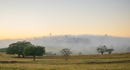 Dawn with fog