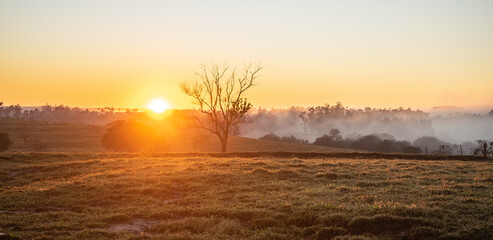 Beautiful sunrise