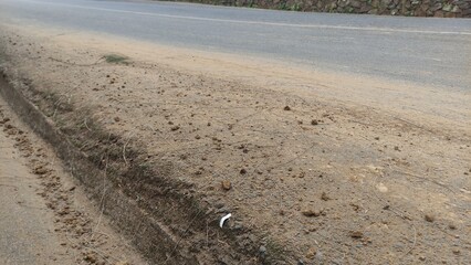 Dry roadside ground with sandy soil and scattered stones, captured in natural daylight. This image is perfect for backgrounds, design textures, environmental concepts, or educational materials about s