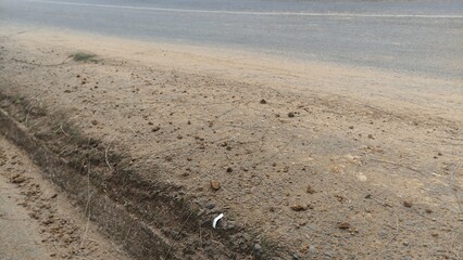 Dry roadside ground with sandy soil and scattered stones, captured in natural daylight. This image is perfect for backgrounds, design textures, environmental concepts, or educational materials about s
