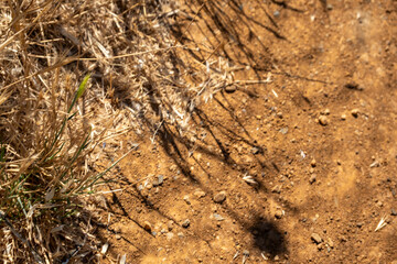 Close-up of sunlit, dry reddish-brown soil and sparse grass, featuring long, sharp shadows. Focus on texture, contrast, and arid ground surface. Ideal for natural and minimalist backgrounds.