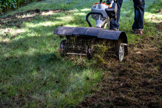 Closeup of dethatching machine tossing up pieces of dead lawn thatch and moss, grass lawn care and maintenance
