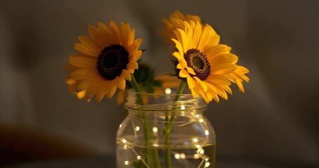Breeze moving three yellow sunflowers twirling in mason jar on wooden table, fairy lights twinkling - Powered by Adobe