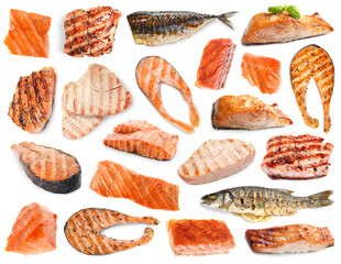 Different types of grilled fish on white background, collage